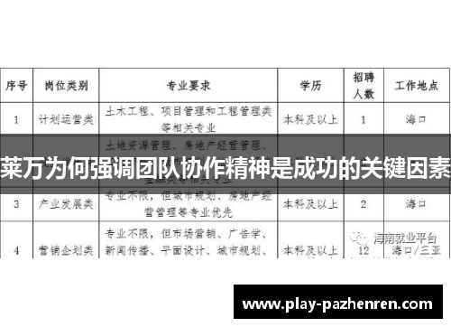 莱万为何强调团队协作精神是成功的关键因素