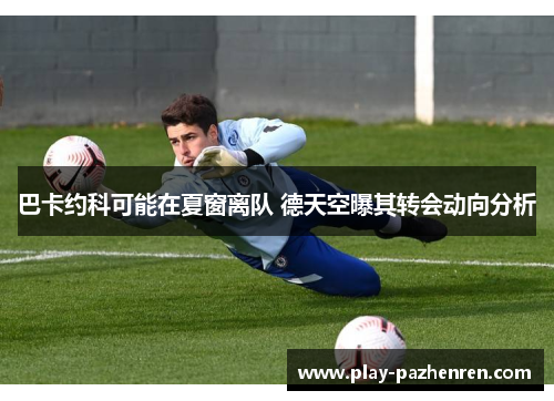 巴卡约科可能在夏窗离队 德天空曝其转会动向分析