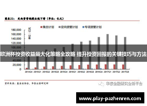 欧洲杯投资收益最大化策略全攻略 提升投资回报的关键技巧与方法