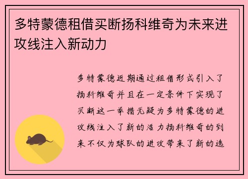 多特蒙德租借买断扬科维奇为未来进攻线注入新动力