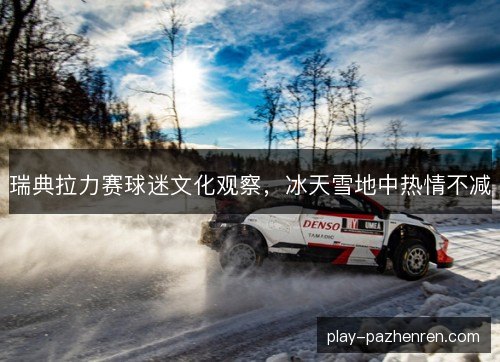 瑞典拉力赛球迷文化观察，冰天雪地中热情不减